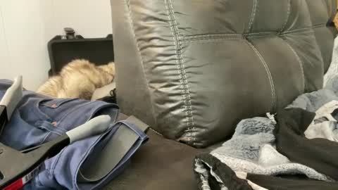 jamisondango online show from December 30, 1:48 am