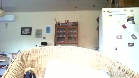 jani56 online show from May 2, 3:34 am