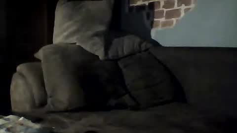 Snapshot of jasio29 chatting on February 22, 9:04 pm Jan88 online show from February 22, 9:04 pm