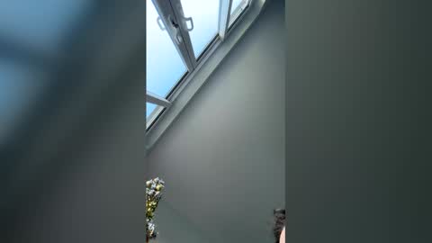 jay40451 online show from December 20, 10:00 am