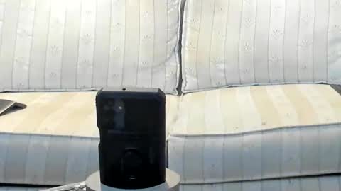 O F   jay short786 online show from February 10, 3:48 pm