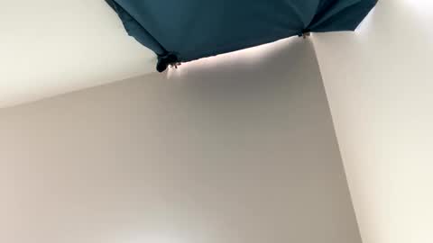 jdsj1a873165 online show from January 18, 2:59 pm