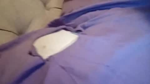 RreddX online show from April 12, 8:29 am