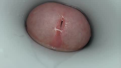 jeffrodgerschaturbat online show from March 9, 2:38 am