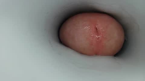 jeffrodgerschaturbat online show from March 13, 4:38 am