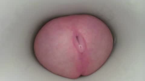 jeffrodgerschaturbat online show from September 10, 3:29 am