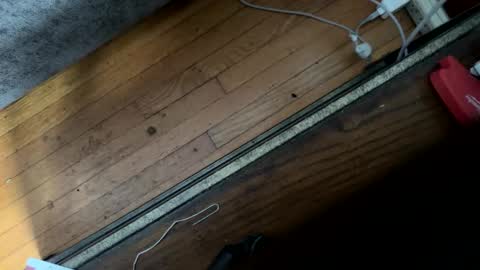 Jeremys room chill and puff one enjoy online show from January 8, 7:53 pm