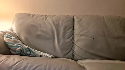 jeyhardsmashin69 online show from October 25, 2:34 am