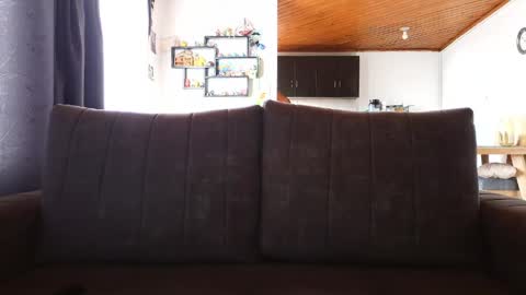 Jhony online show from April 23, 6:53 pm