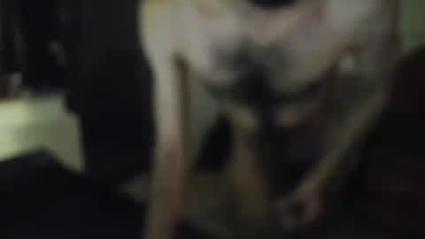 jimbob5005 online show from February 8, 5:49 pm