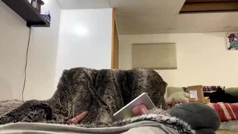 Bubble Butt Bae online show from February 3, 10:30 am