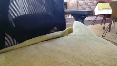 Joe online show from March 16, 1:31 am