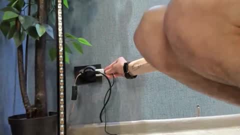 John online show from October 10, 6:30 am