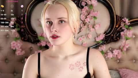 Alice online show from April 17, 11:12 am