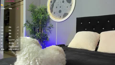 Jordan online show from November 19, 10:03 am