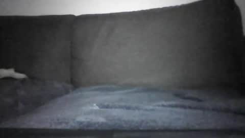 Hentai Jo online show from December 12, 7:15 pm