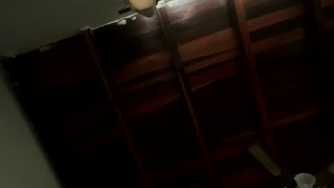 lJuanl online show from June 14, 2:30 pm