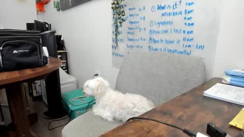 Jules online show from March 20, 5:40 pm