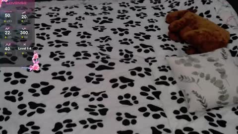 julieqt online show from February 16, 6:21 am