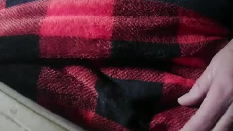 Justme39057 online show from April 11, 3:16 pm