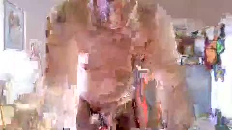 juteja online show from October 16, 8:58 am