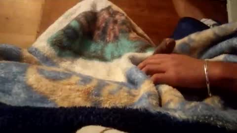 kakaroto30102 online show from December 1, 8:56 am