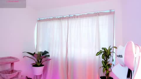 Kali Ka Please help me with your thumbs up its important   dont forget my birthday on October 26 online show from February 19, 12:22 pm