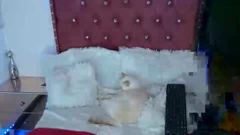 KARLA ARANGO online show from April 4, 12:17 am