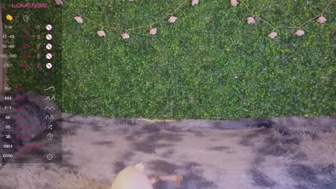 Katerina online show from April 10, 6:45 pm