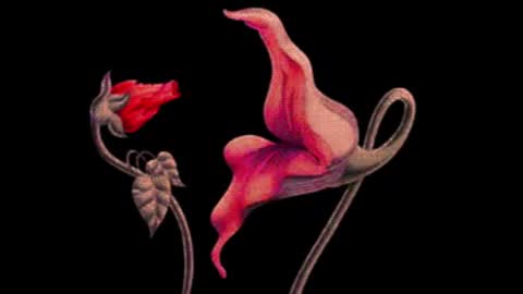 katsuro online show from November 27, 9:11 pm