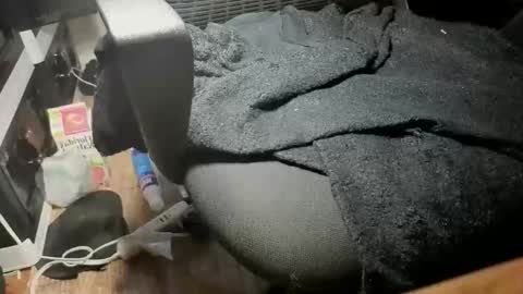 KayisHard online show from February 20, 1:02 pm