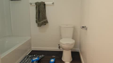 Dexter online show from March 19, 8:53 am