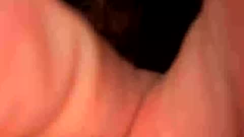 keepquietj online show from January 20, 5:26 am