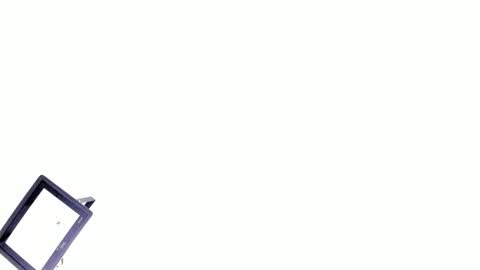 Kendal online show from March 25, 12:12 pm