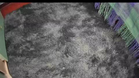 Keyla online show from April 17, 9:28 pm