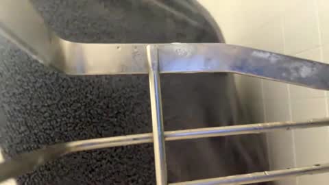 kiannaluv online show from October 1, 12:59 pm