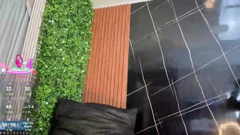 Kiara Zahiri online show from November 3, 11:00 am