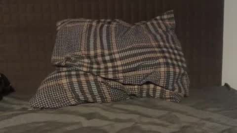 kiki3526 online show from November 26, 11:56 pm