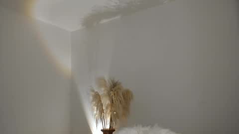 Kim Murphy online show from December 4, 12:05 pm