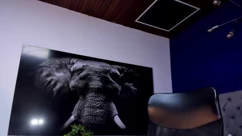 Angel Falconer online show from January 15, 2:20 am