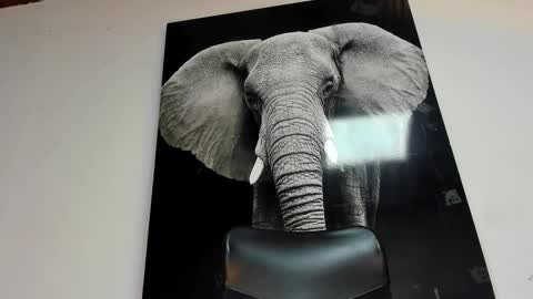 Angel Falconer online show from October 29, 3:19 am