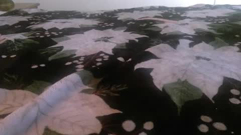 Kinky K80 online show from November 24, 2:49 pm