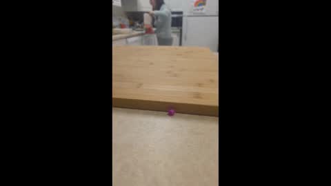 Maysie and Hunter online show from March 16, 1:09 am