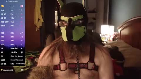 kinkywolf87 online show from February 13, 5:00 am