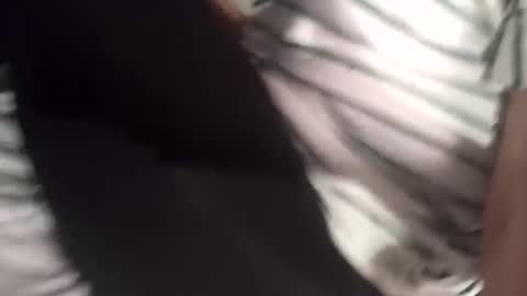 kitsuneniki online show from March 15, 6:00 pm