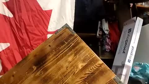 KittenKatch online show from April 10, 5:57 am