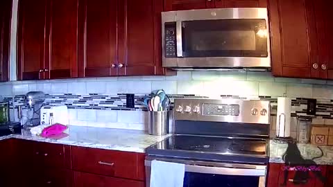 Kitti online show from September 25, 7:32 pm