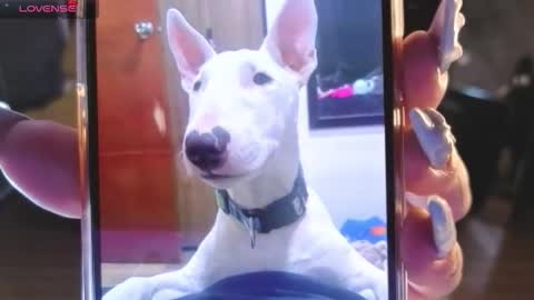 kitty_fox_b online show from November 13, 1:25 pm