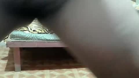 Kitty online show from March 25, 10:49 pm