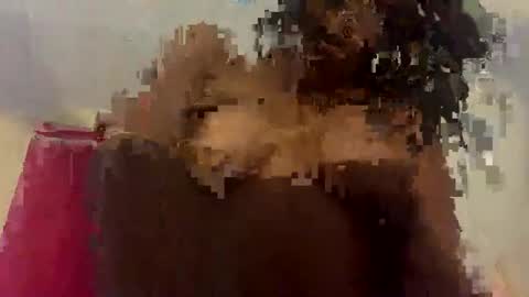 kitty online show from April 23, 12:07 am